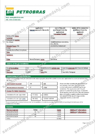 Paraguay Petrobras Paraguay Operations and Logistics gas company in Word format